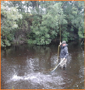 fly fishing wlaes with jwflyfishing